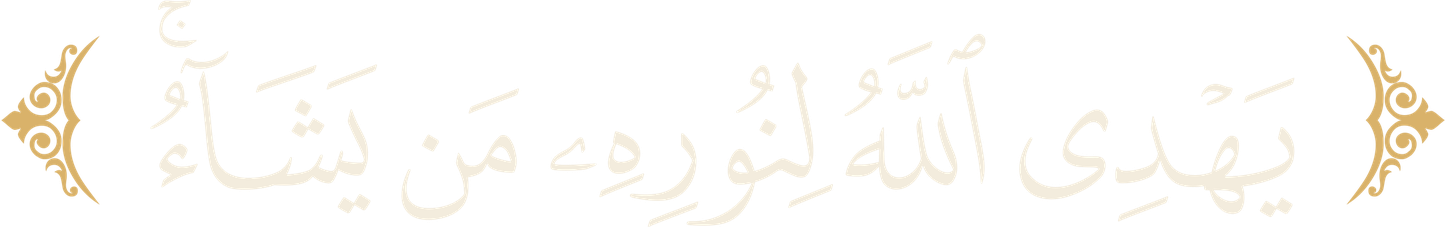 ﴿يَهْدِي اللَّهُ لِنُورِهِ مَن يَشَاءُ﴾